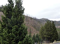 Yellowstone (69).JPG